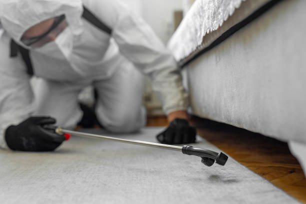 Professional Pest Control technician working in Ballwin, MO