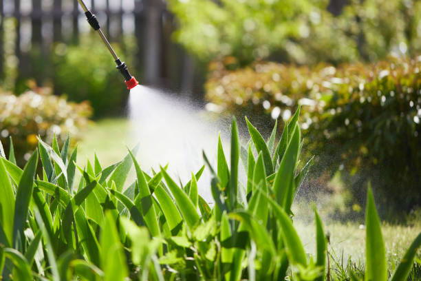 24/7 Emergency Pest Control experts in Ballwin, MO