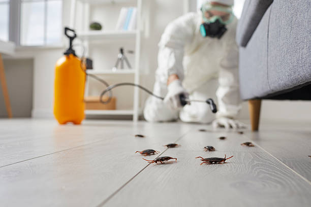 Affordable Pest Control solutions in Ballwin, MO