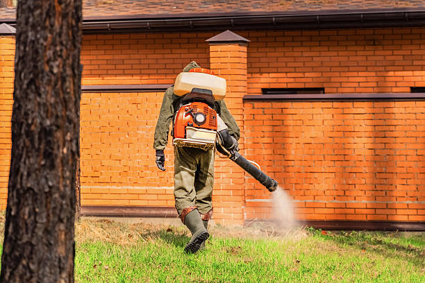 Top rated local Pest Control specialists in Ballwin, MO